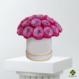 Elegant purple roses