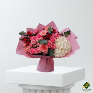 Soft blush Bloom
