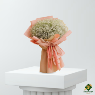 Light gypsophila bouquet