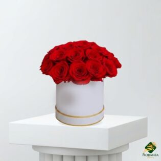 Elegant Red roses