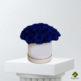 Elegant blue roses