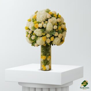 Vase of radiance