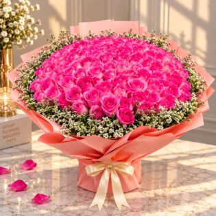 200 Pink Roses with Gypsophila