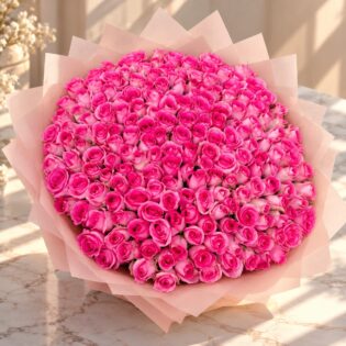 400 Jumilah Roses