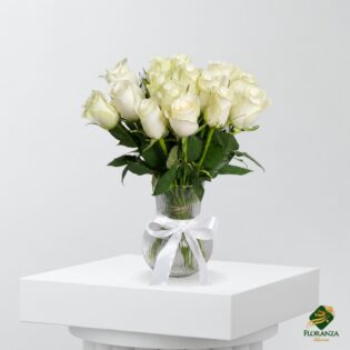 17 White Roses