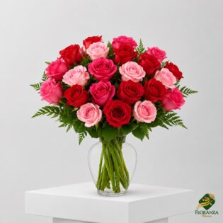 17 Mix Roses